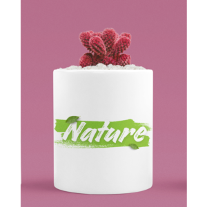 Nature | Plant Pot | Blessico