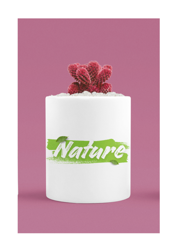 Nature | Plant Pot | Blessico